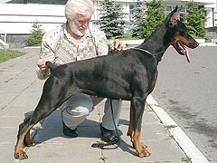 Argenta Uma Black Mamba iz Zoosfery
