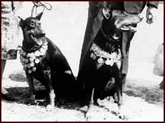USSR and Moscow Champions Almaz and Vesta