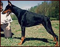Ch. Legenda