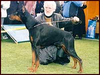  Leroy 