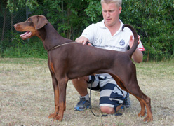 Ebony v. Nobel Line