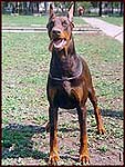 Winfred