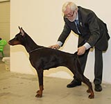БРУТЕЛЛА ИЗ ЗООСФЕРЫ