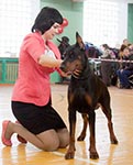 ЦУНАМИ ШУМА ИЗ ЗООСЕРЫ