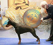 УНИКА УЛЬТРА ИЗ ЗООСФЕРЫ